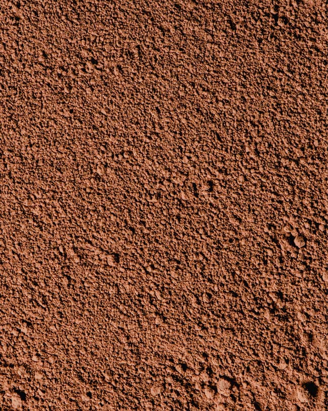 banner-image